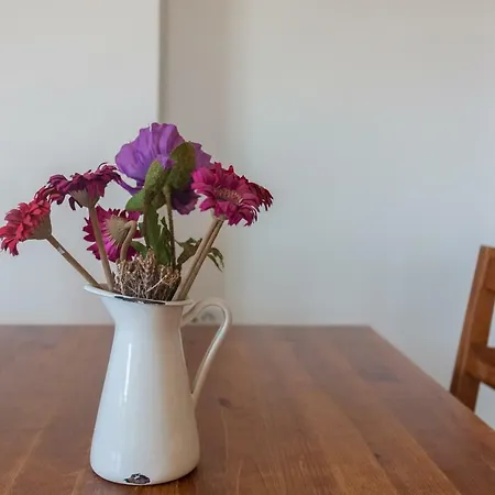 Apartment N2 *